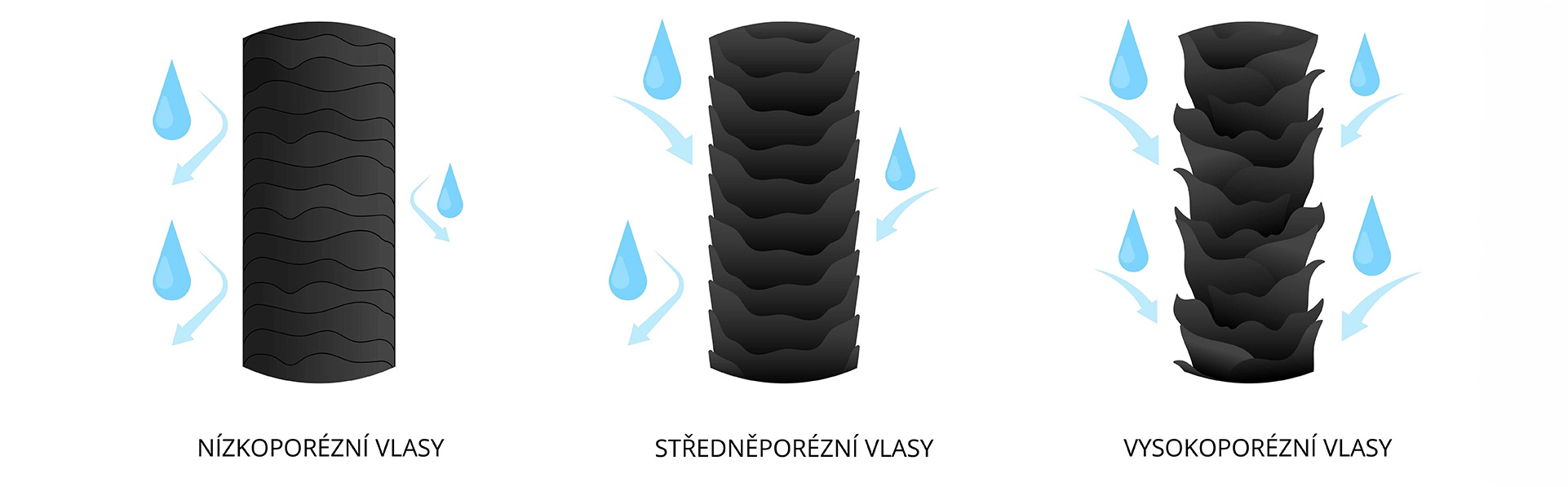Test poréznosti vlasů